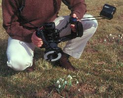 Kombination Ringblitz + Seitenblitz