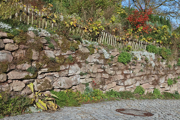 Bepflanzte Trockenmauer