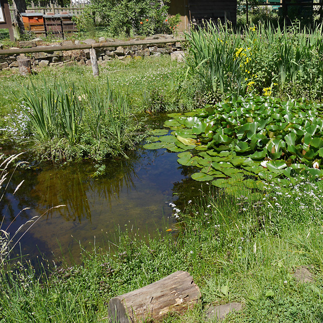 41+ Definition Teich Weiher, Ein teich ist das kleinste, ein weiher