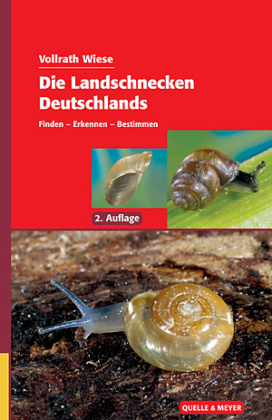 Wiese: Landschnecken