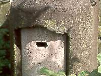 Nistk.-Typ 5 f&uuml;r Hummeln