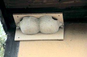 Typ 12: Strobel-Art. 112