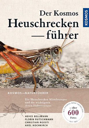 Bellmann: Kosmos-Heuschreckenf&uuml;hrer