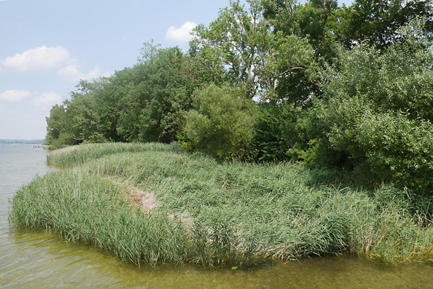Bruthabitate See (20.7.2021) Bruthabitat See