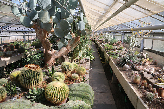 Sukkulentenhaus