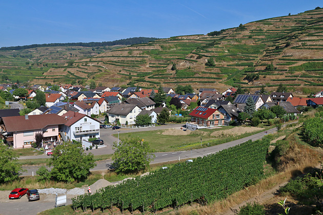 Weinberge, Oberbergen