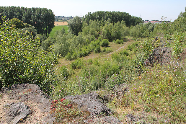 Ehemalige Kalkgrube