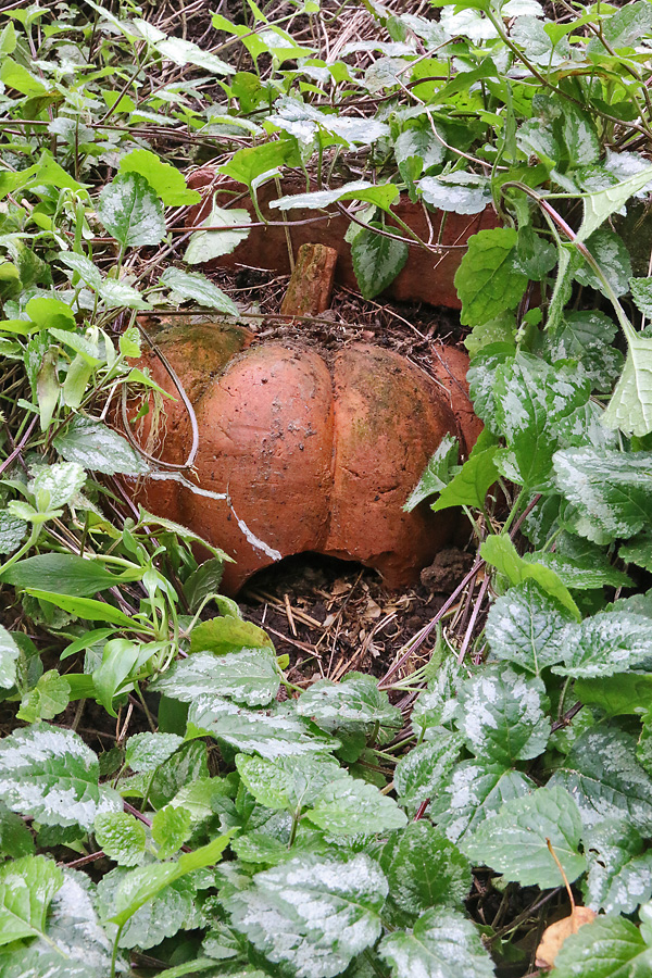 Terracotta-K&uuml;rbis