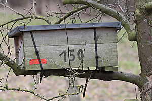 Steinkauz-Nistkasten