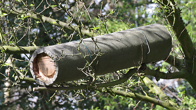 Steinkauz-Nistkasten