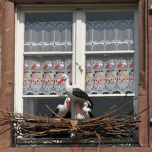 Wei&szlig;storch-Plastiken