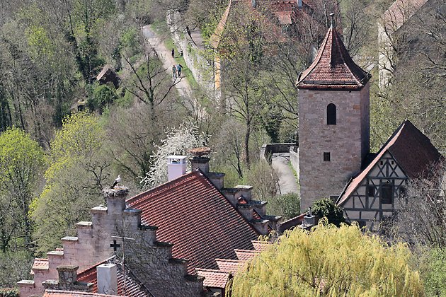 Wei&szlig;st&ouml;rche